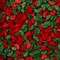Krazy Sprinkles - Watermelon Wedges (1/2 Cup, 1x Jar) for Cakes, Ice Cream & Cookies